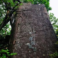 評論圖片 5