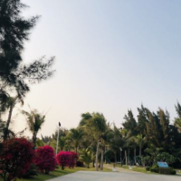 評論圖片 3