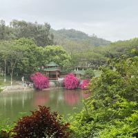 評論圖片 2
