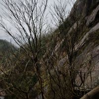 評論圖片 4