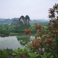 評論圖片 4