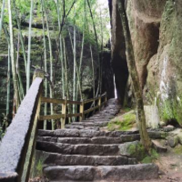 評論圖片 8