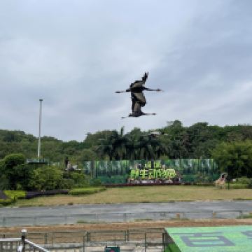 評論圖片 2