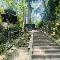 評論圖片 6