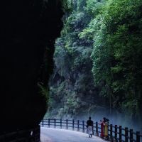評論圖片 5