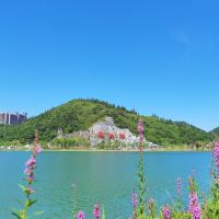 評論圖片 7