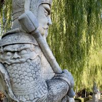 評論圖片 7