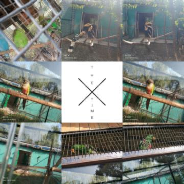 評論圖片 4