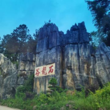 評論圖片 1