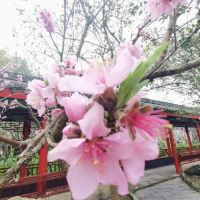 評論圖片 4