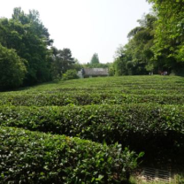 評論圖片 1
