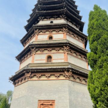 評論圖片 7