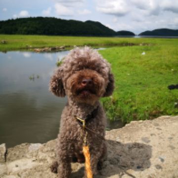 評論圖片 7