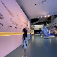 評論圖片 9