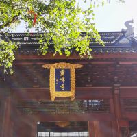 評論圖片 1