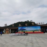 評論圖片 5