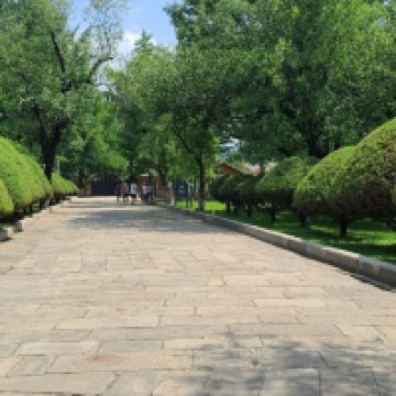 評論圖片 7