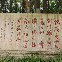 評論圖片 9
