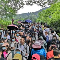 評論圖片 6