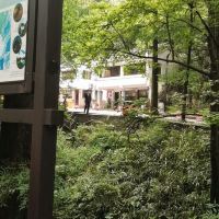 評論圖片 2