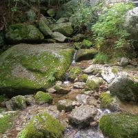 評論圖片 5