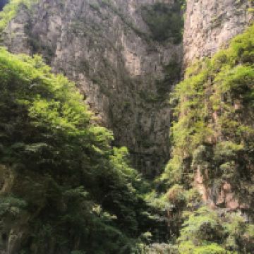 評論圖片 6