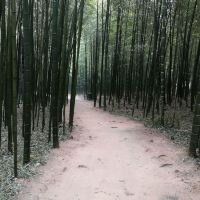 評論圖片 6