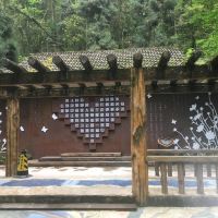 評論圖片 3
