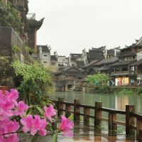 評論圖片 5