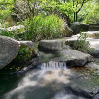 評論圖片 5