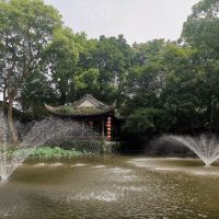 評論圖片 1