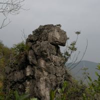 評論圖片 6