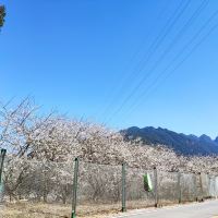 評論圖片 8