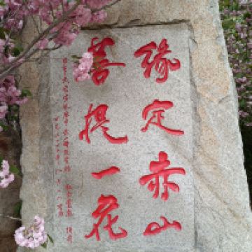 評論圖片 2