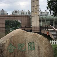 評論圖片 5
