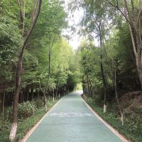 評論圖片 1