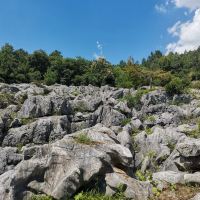評論圖片 7