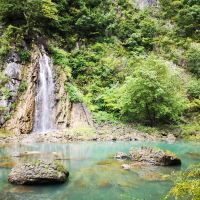 評論圖片 8