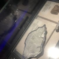 評論圖片 2