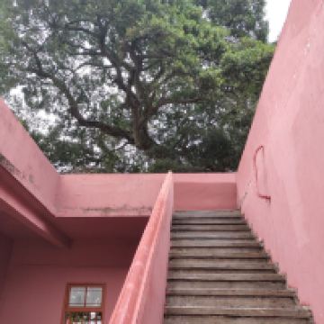評論圖片 3