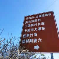 評論圖片 4