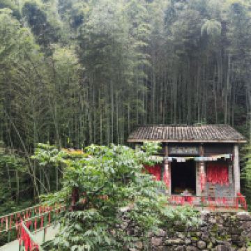 評論圖片 4
