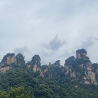 評論圖片 5
