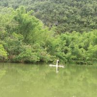 評論圖片 5