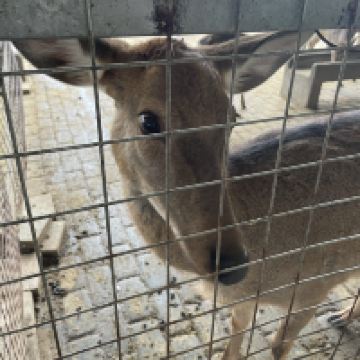 評論圖片 5