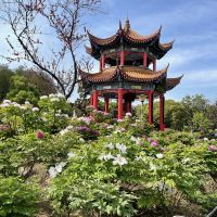 評論圖片 2