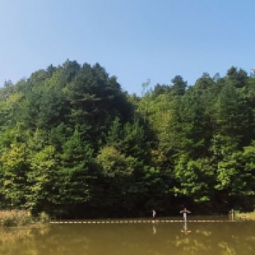 評論圖片 2