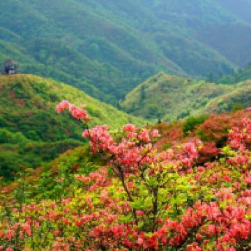 評論圖片 2