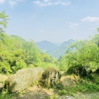 評論圖片 7