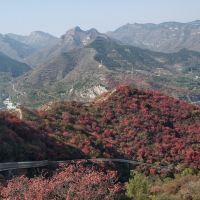 評論圖片 9